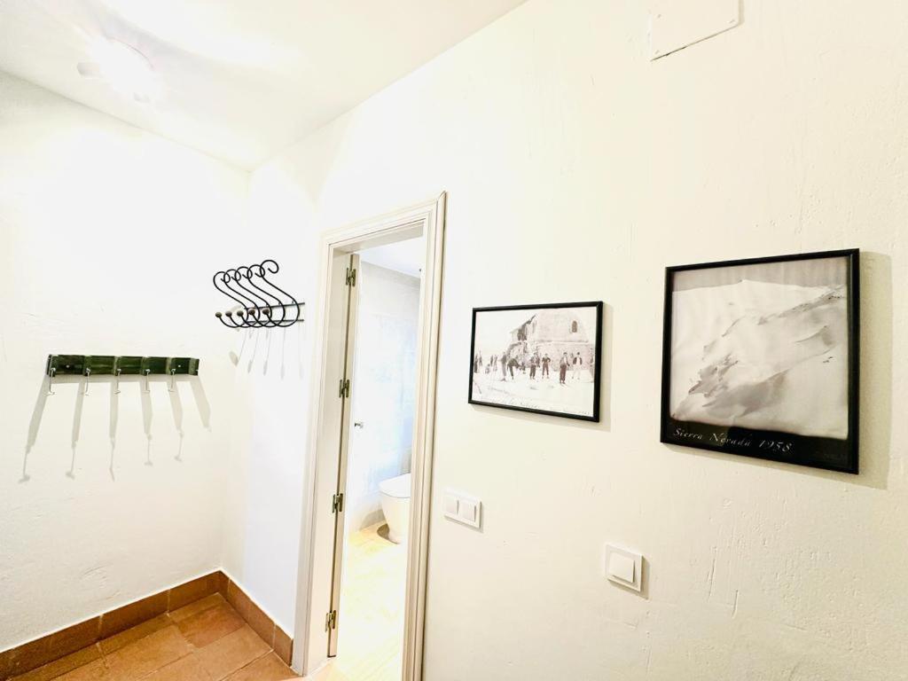 דירות סיירה נבדה Plaza De Andalucia Edificio Salvia Con Vistas Al Veleta מראה חיצוני תמונה